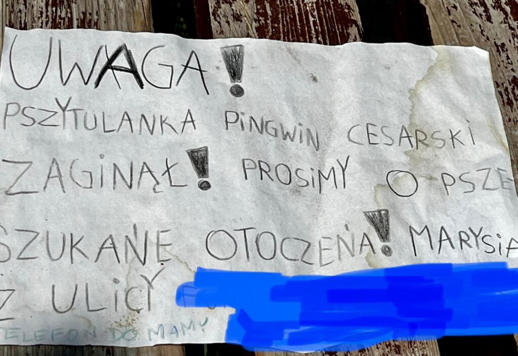 Manchot empereur disparu